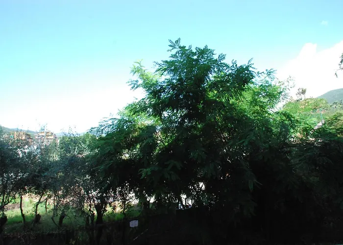 Casa Solari 아파트 *